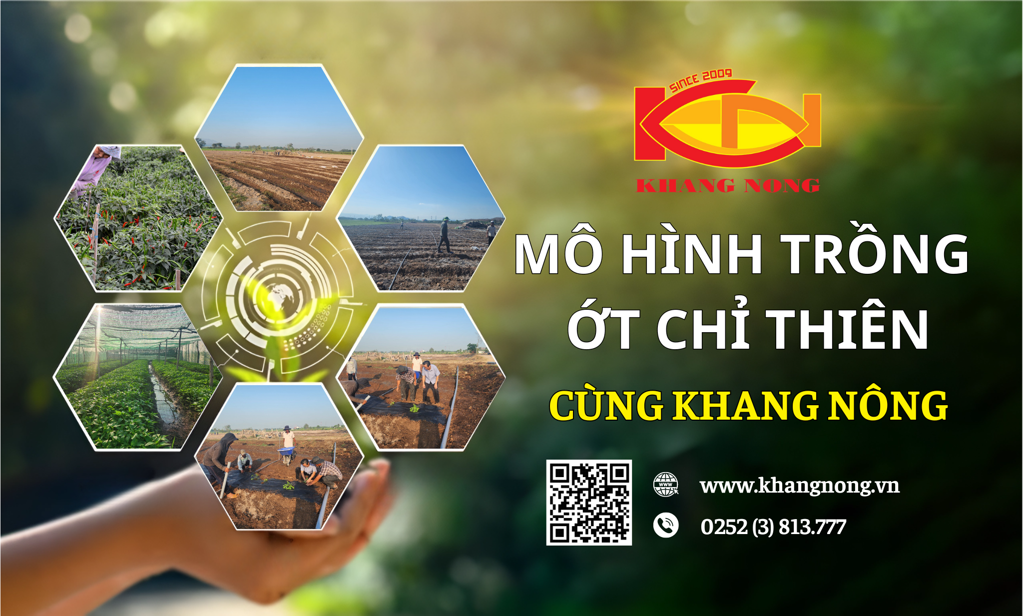 Mô hình thử nghiệm trồng ớt chỉ thiên cho công ty Cổ Phần Khang Nông Farm 